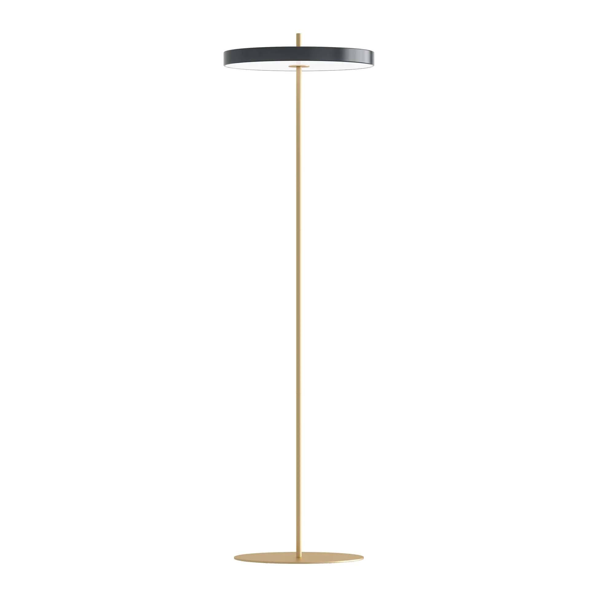 Asteria golvlampa i dansk design från Umage i färgen Anthracite